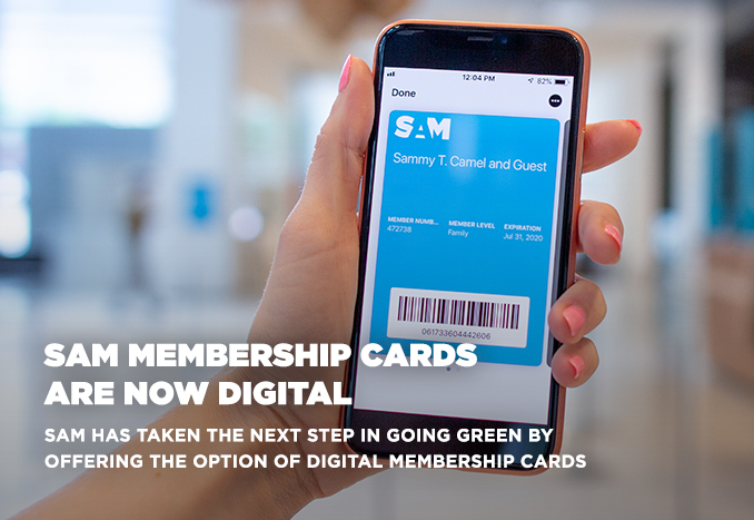 Image of a hand holding a phone displaying a digital membership card