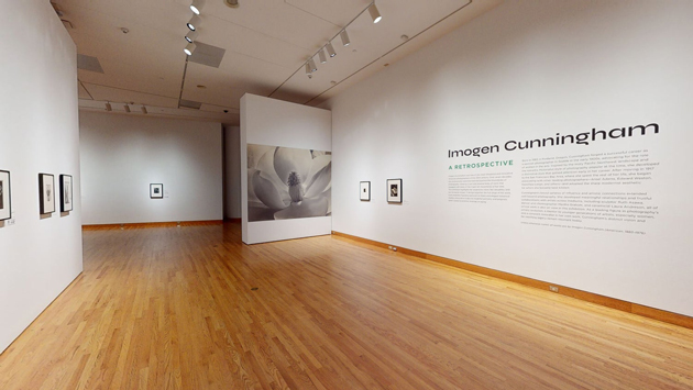 Photo of the first gallery of the exhibition, featuring title wall and 3 photos beside