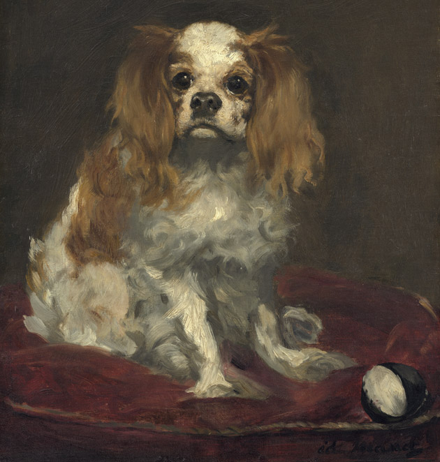 A King Charles Spaniel by Manet